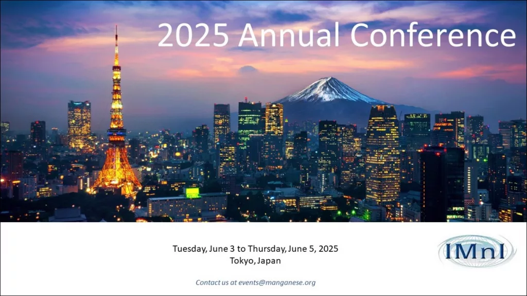 IMnI 2025 Annual Conference